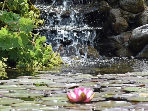 12.-14.12.25 Resilienz Retreat - Basis Paket